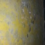 Bensenville Mold Remediation