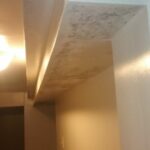 Mold removal in Addison