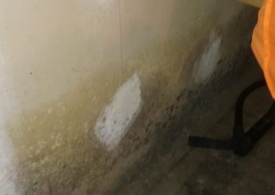 Water Damage In Bensenville