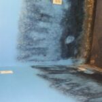 Mold Removal In Bartlett