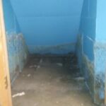 Carol Steam Mold Removal